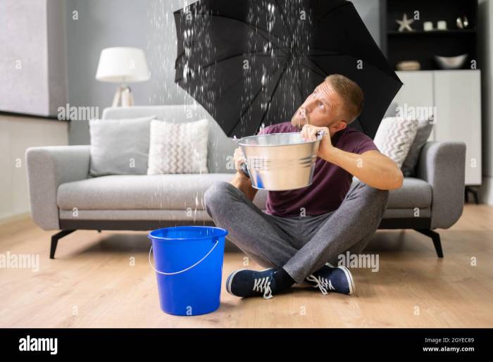 Emergency Leak In House Or Apartment. Water Falling From Ceiling Stock ... Emergency Leak In House Or Apartment. Water Falling From Ceiling Stock ...